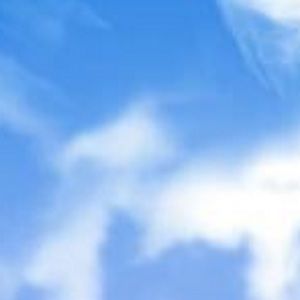 Meet your Posher, Verna